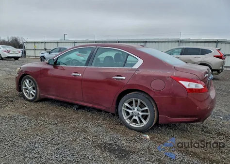 2010 Nissan Maxima S z USA, uszkodzony, nr VIN 1N4AA5AP4AC835843
